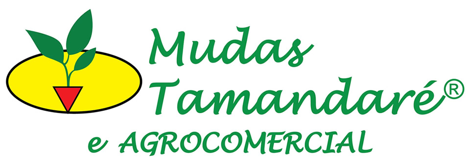 Mudas Tamandaré